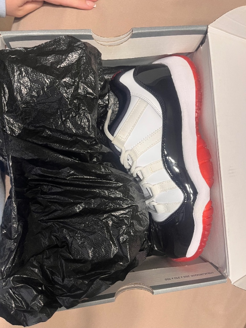 Jordan Retro Low 11